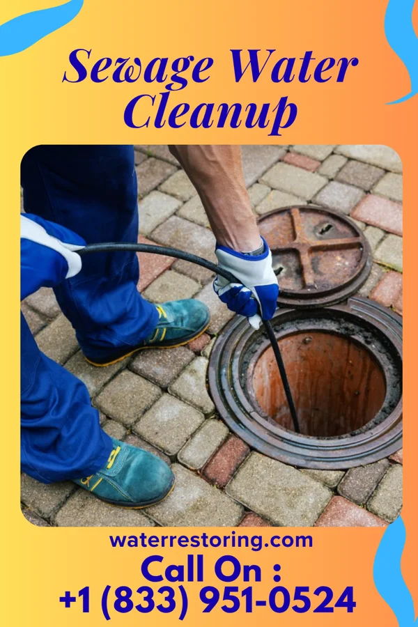 Sewage Water Cleanup in Atlanta, IL