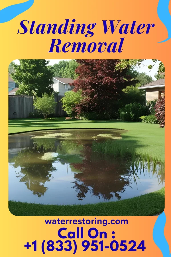 Standing Water Removal in Atlanta, IL